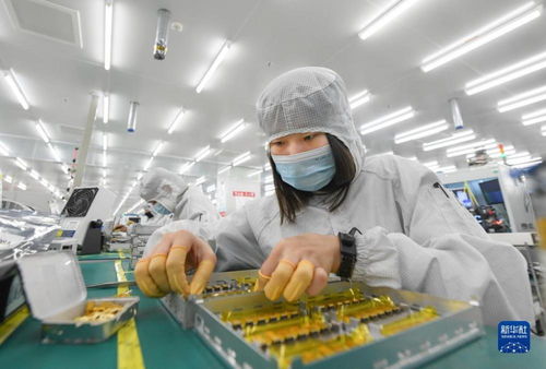 靠譜服務驅動技術創新，標準引領未來——一家光通信企業的出海秘籍